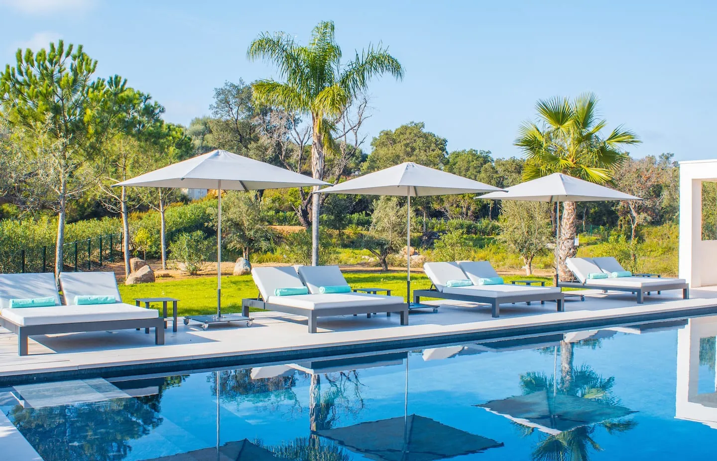 Piscine avec transats et parasols dans le jardin.